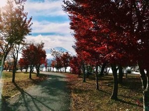 Why fall in Japan is extra special